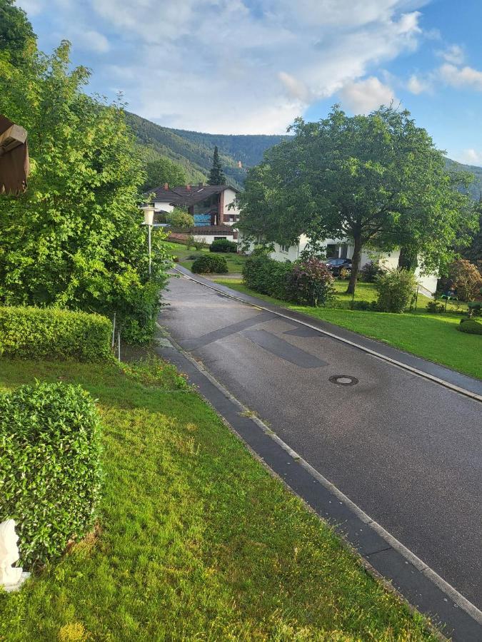 Ferienwohnung Freudenberg Freudenberg am Main Buitenkant foto
